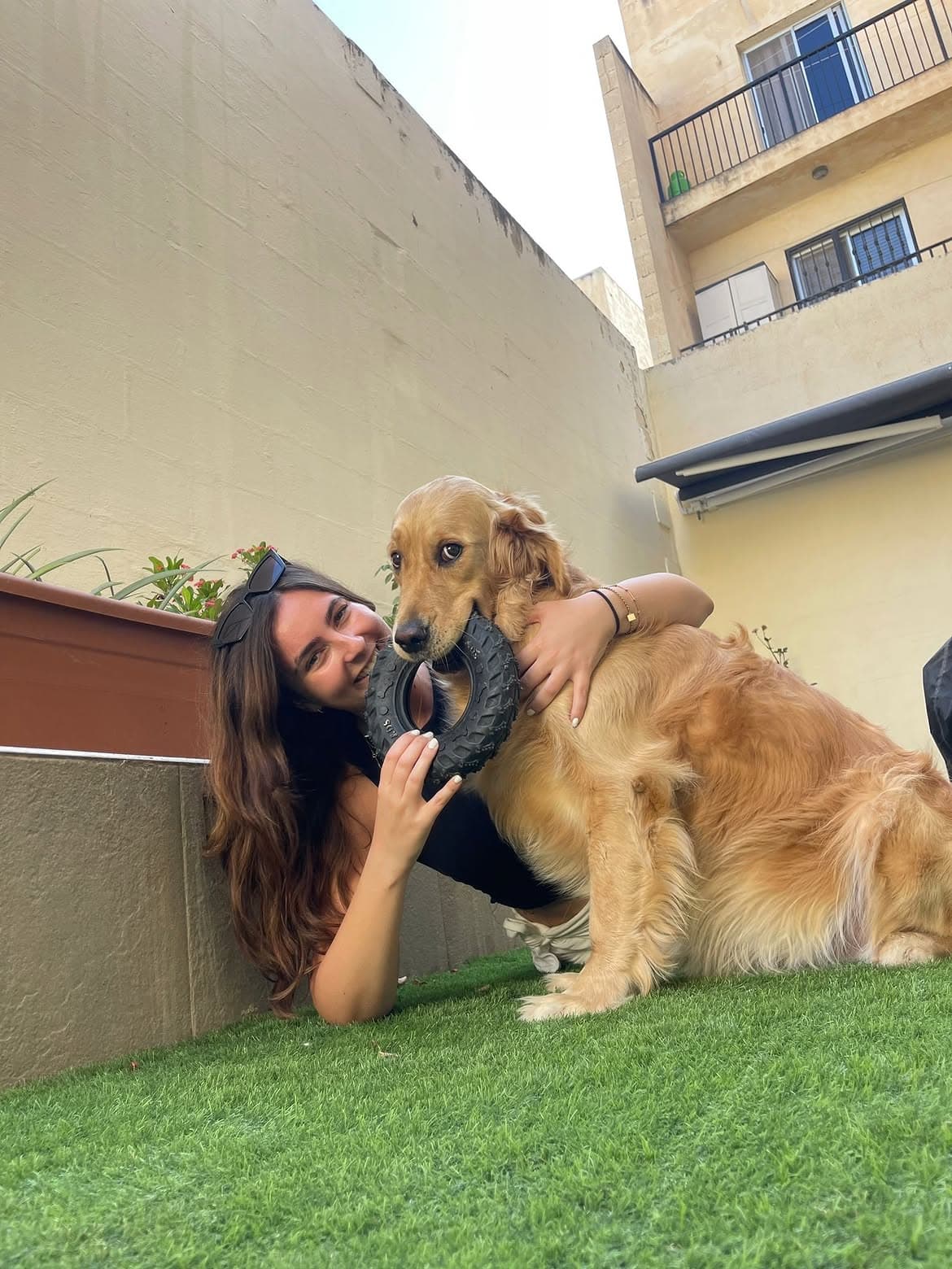 A sitter playing with a happy dog during a family-style boarding stay